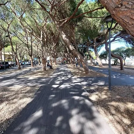 Orange. Al Mare Citra 009024-lt-0422 Appartement *